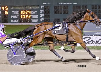 Ohio Selected Jug Yearling Sale is Friday