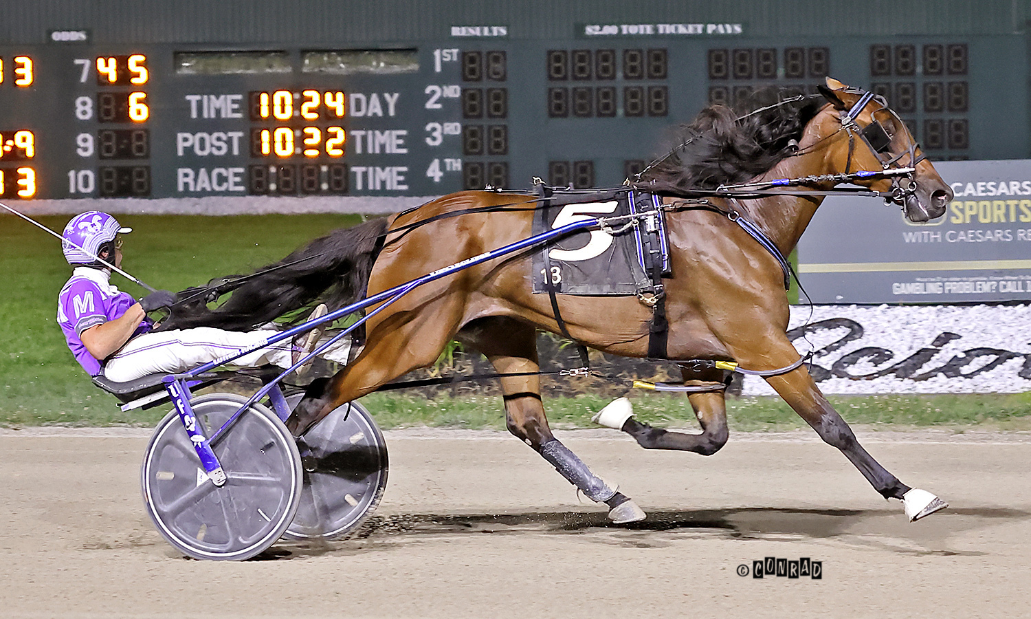 Ohio Selected Jug Yearling Sale is Friday Harnesslink