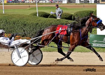 Stakes records set opening day in Delaware(OH)