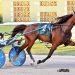 Volstead filly caps undefeated season in $300,000 final