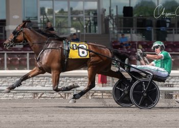 Svrcek steals GLADA trot with Iron Wheel