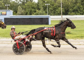 Undefeated 3YO wins $90,000 Michigan Sire Stakes