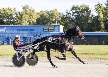 Michigan Sire Stakes Finals at Northville Downs