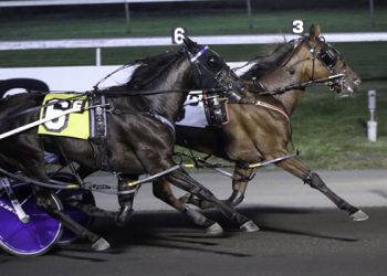 Ucandoit Blue Chip does it again