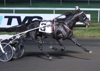 Lazarus offspring sweep $150,000 New Jersey Classics