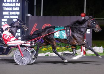 Standardbred Canada announces 2023 O’Brien Award finalists