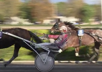 Breeders Crown aged events held at Mariendorf