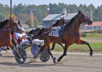 Switzer family strong in Cumberland closer