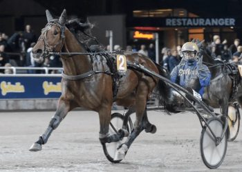 Nurmos trainees sweep Gr I Svenskt Kriterium and Oaks