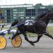 Partyintheshadows wins again, Berube scores quadruple