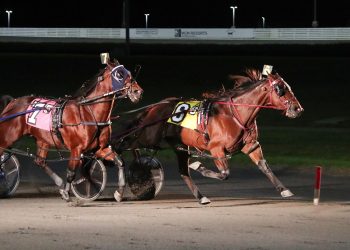 Tote board lit-up in $36,000 Open Pace