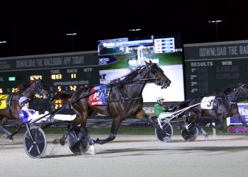 Hambo winner scores again in Breeders Crown