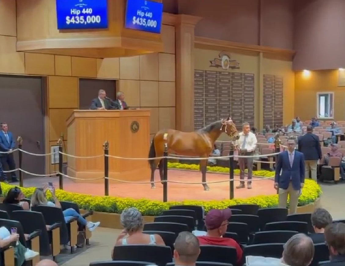 435,000 yearling sets record for third day at Lexington Harnesslink