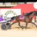 Interdominion contender takes on the Kadina Trotters Cup