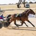 Wrap up from Gawler Platinum Cup