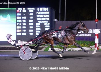 Stag Party son fastest in Harvest Series