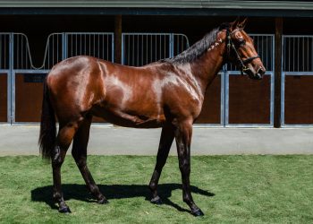 Mister Smartee adds Gr3 to his impressive resume