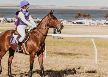 Red Salute wins standardbred race at Kulin Bush Races