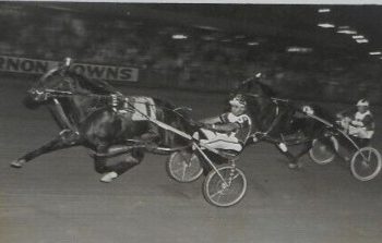 Abe Stoltzfus, 81, longtime horseman, passes