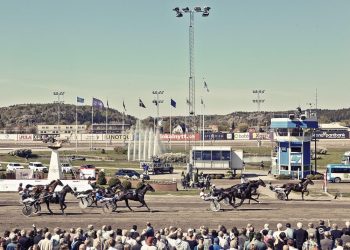 Power dominates in STL Gold at Aby