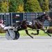 Brett Derue hits grand slam at Saratoga