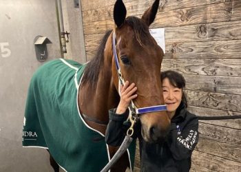 “Aunty” Ayumi gets her shot at Harness Million glory