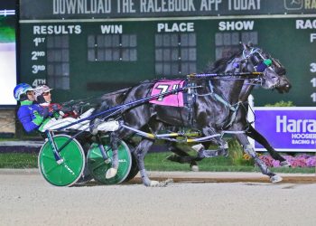 Newsroom beaten in Breeders Crown elims