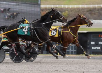 Blue Ivy turns back foes in Open