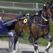 Ball in May's court for tricky Addington resumption 3 Beach Ball demolishes rivals with crushing win