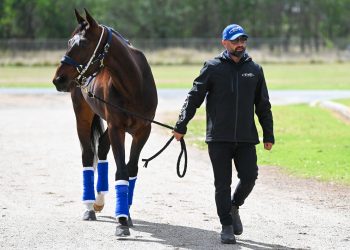 Captain Ravishing has speed like ‘Quinny’