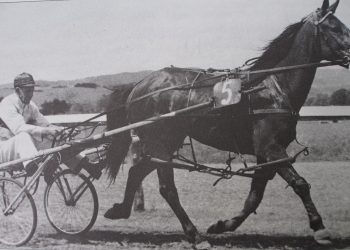 Cardigan Bay raced there – Roxburgh TC celebrates 75 years