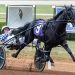 Behind the scenes of Confederate coming to Australia 2 Confederate headlines Breeders Crown elims Saturday