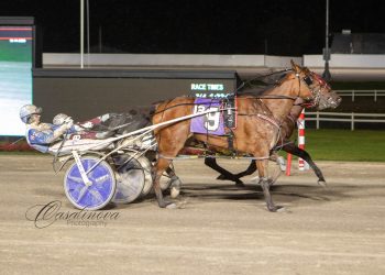 Dead heat finish in $100,000 Courageous Lady