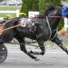 Drew Campbell triples at Bangor Raceway