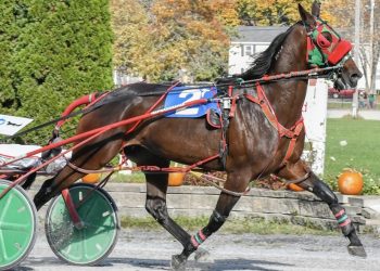 Dan Deslandes goes five for five at Bangor