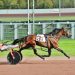Svanstedt sweeps Simpson Stakes again 3 Svanstedt sweeps Simpson Stakes again