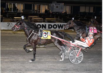 MacDonald wins five at Vernon