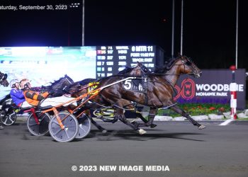 Another Preferred win for Emmetts Buddy