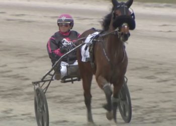 Impressive two-year-old trotter looks to extend winning streak