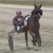 Impressive two-year-old trotter looks to extend winning streak