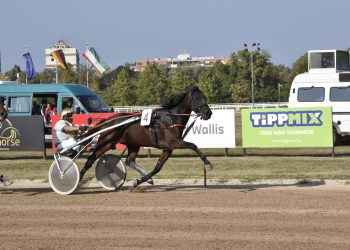Trainer and owner team for two stakes wins in Hungary