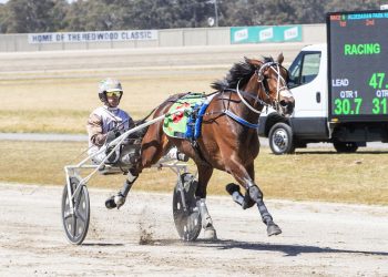 New Zealand filly wins Redwood Classic