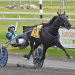 Champion trotter Jujubee to lead Breeders Crown post parade
