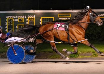 Morrill feasts at Batavia Downs with six wins