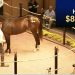 $800,000 purchase tops Lexington day one