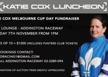 Fund-raising luncheon for Katie Cox