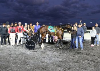 Eight Indiana-breds are in the Breeders Crown