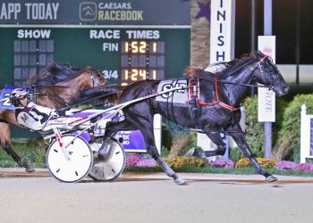 Logan Park never headed in Breeders Crown elim