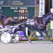 Logan Park never headed in Breeders Crown elim