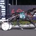 Canada's Logan Park completes International Trot field 2 Logan Park reaches new peak in $42,000 Free For All